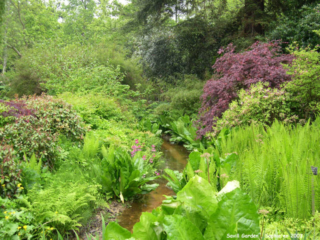 Savill Garden