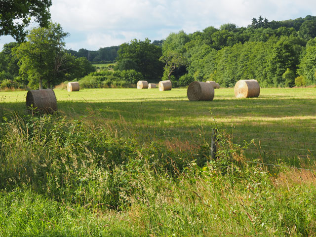 foins en creuse