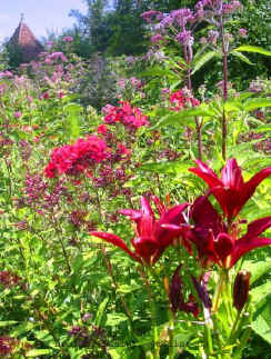 Les jardins de Drulon