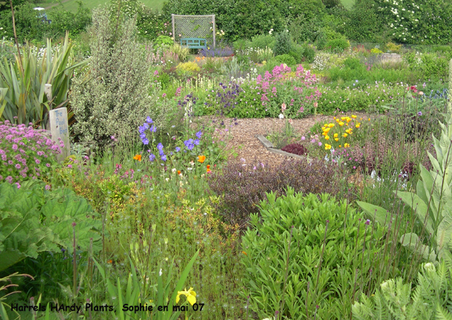 Harrels Hardy Plants à Evesham