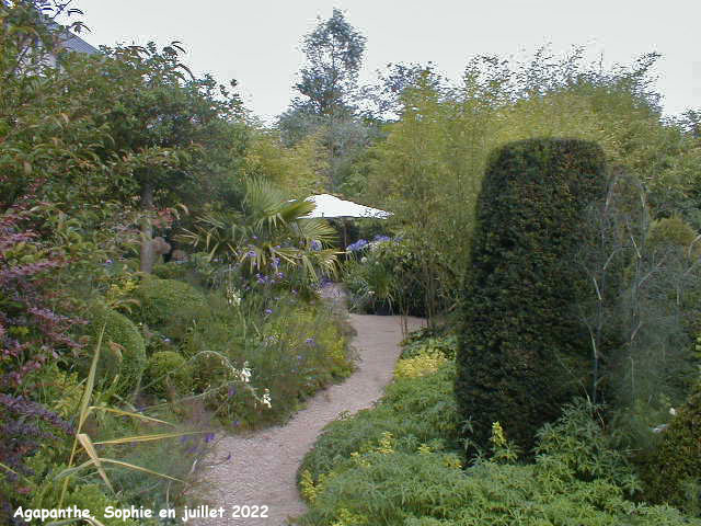 la terrasse aux agapanthes