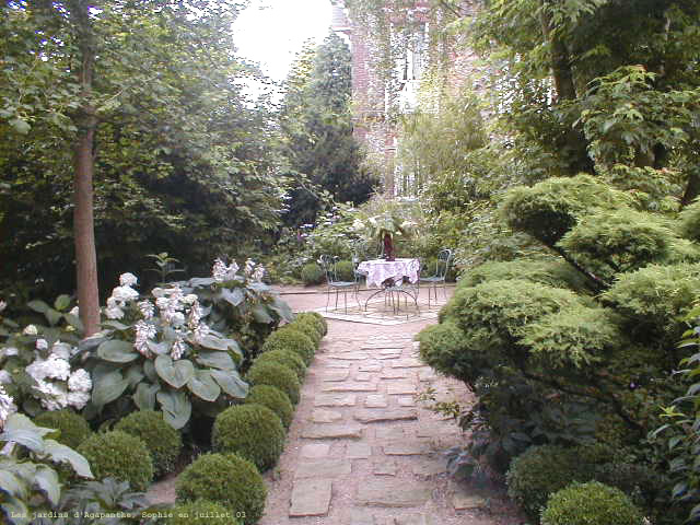 Le jardin de buis