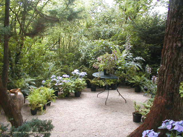 Le jardin Agapanthe