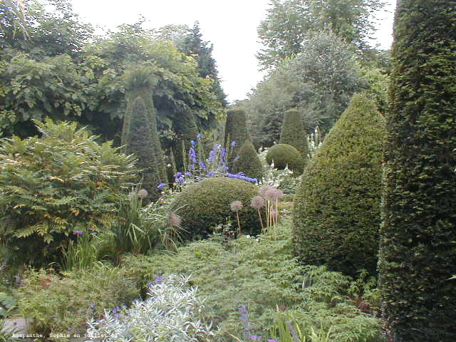 Les topiaires au bout du jardin aux lavandes