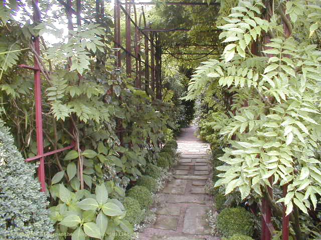 la pergola au Jardin d'Agapanthe