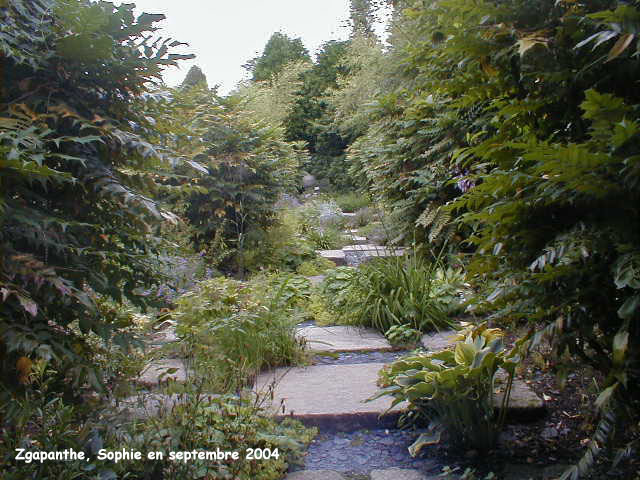 agapanthe: le jardin des senteurs