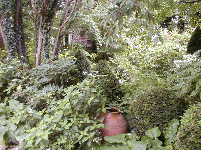 Le jardin des ifs