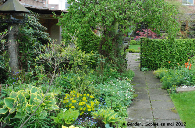 A Garden: le massif doré