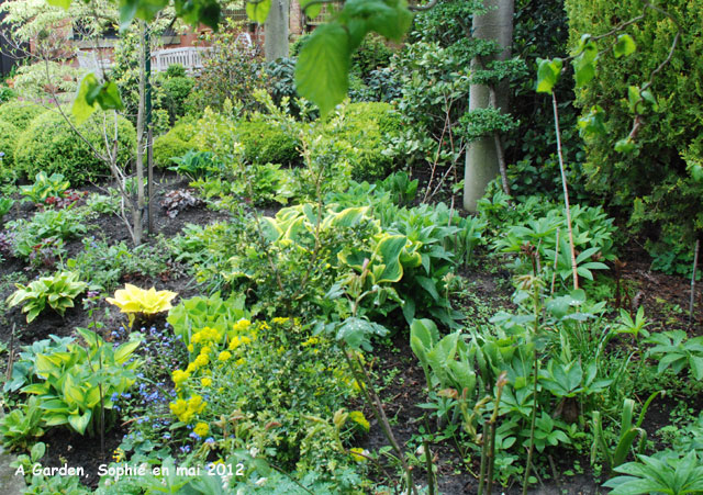 A Garden: détail du massif doré