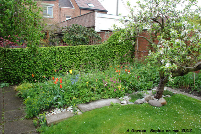 A Garden: tulipes et fruitier