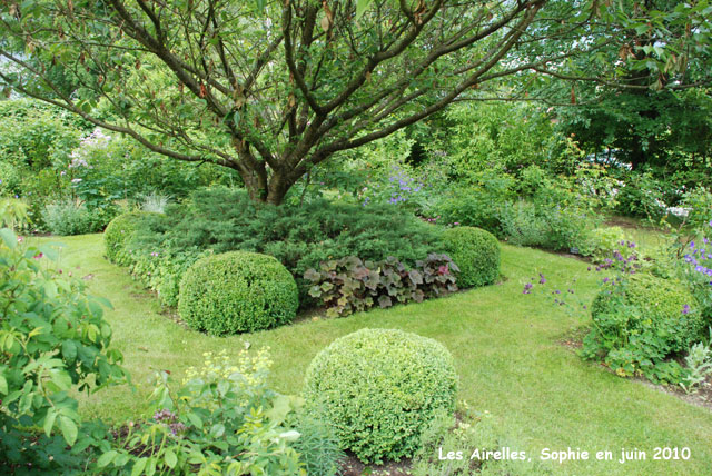 Le jardin de devant aux airelles