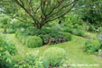 Les Airelles: jardin de devant