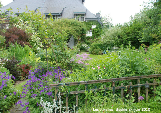 Les Airelles: la pelouse
