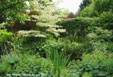 la mare au jardin des Airelles