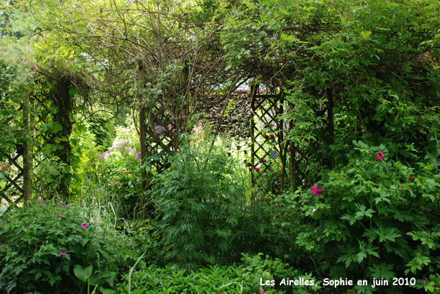Les Airelles: la pergola