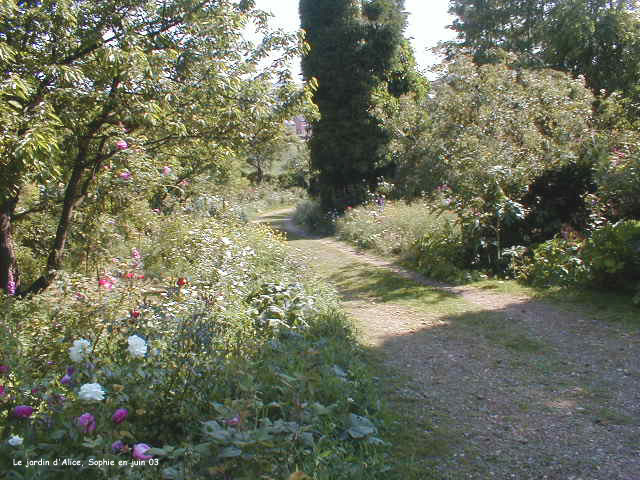all&eacute;e centrale