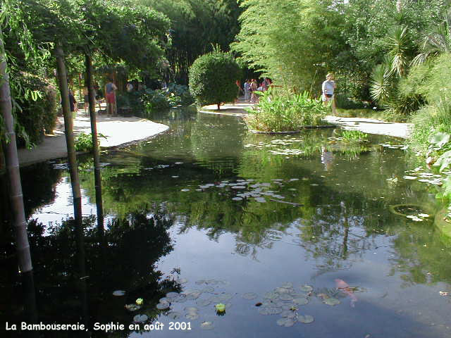 Les jardins aquatiques d ela bambouseraie