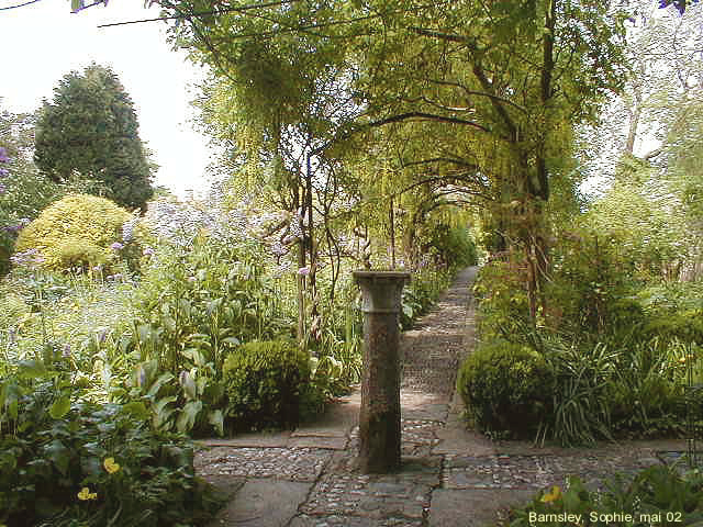 Allée de cytises à Barnsley