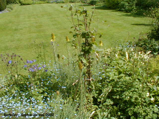 Barnsley garden cour intérieure