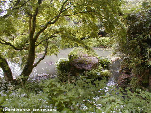 Batsford: la mare