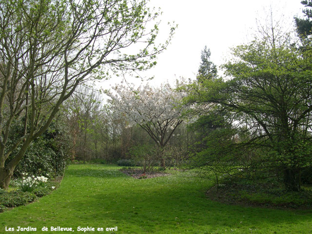 Bellevue: le jardin d'été