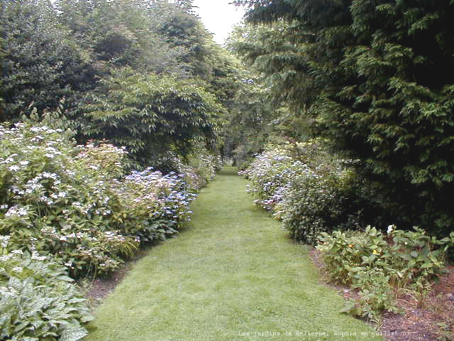L'all&eacute;e des hortensias