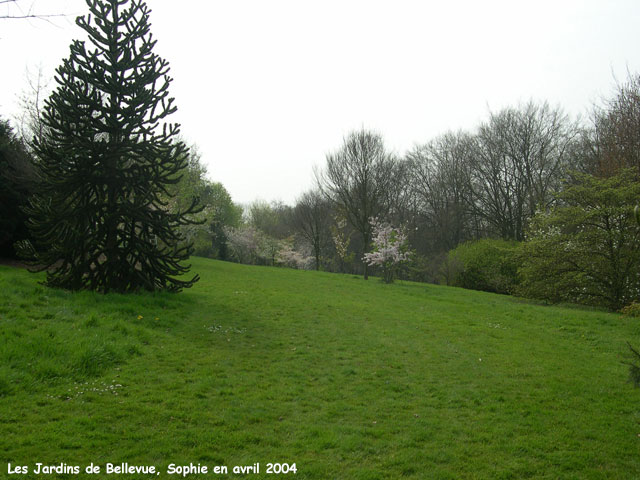 Bellevue: l'arboretum