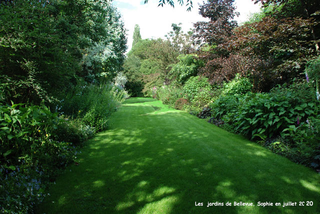 Bellevue: le jardin des constrastes