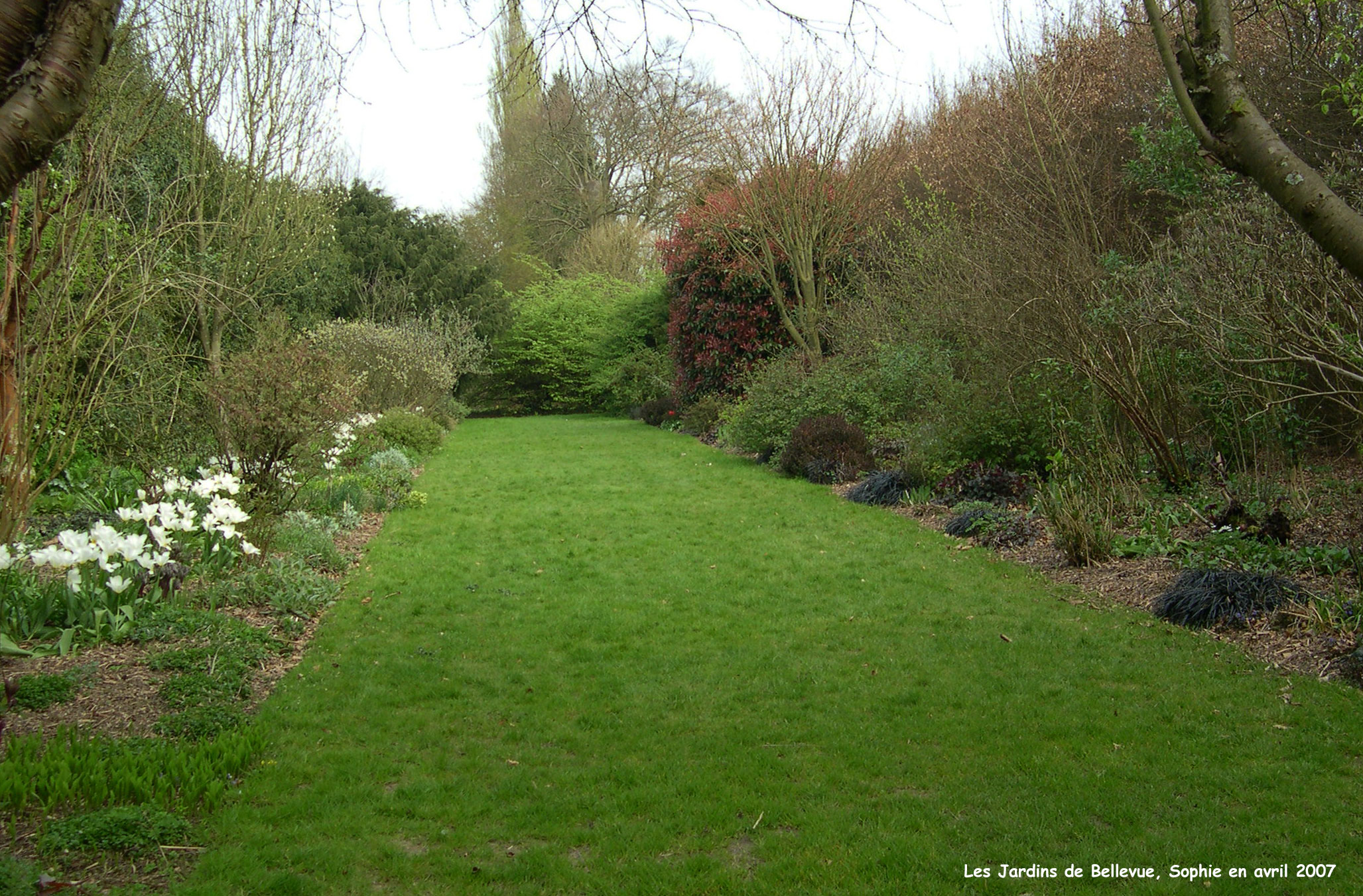 Bellevue: le jardin des contrastes