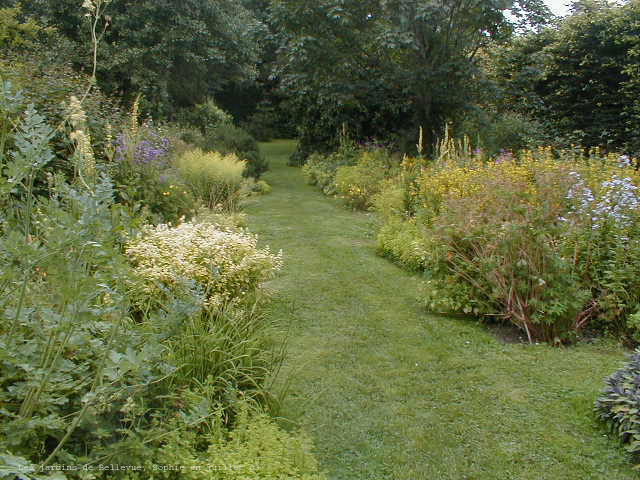 Bellevue: le jardin doré