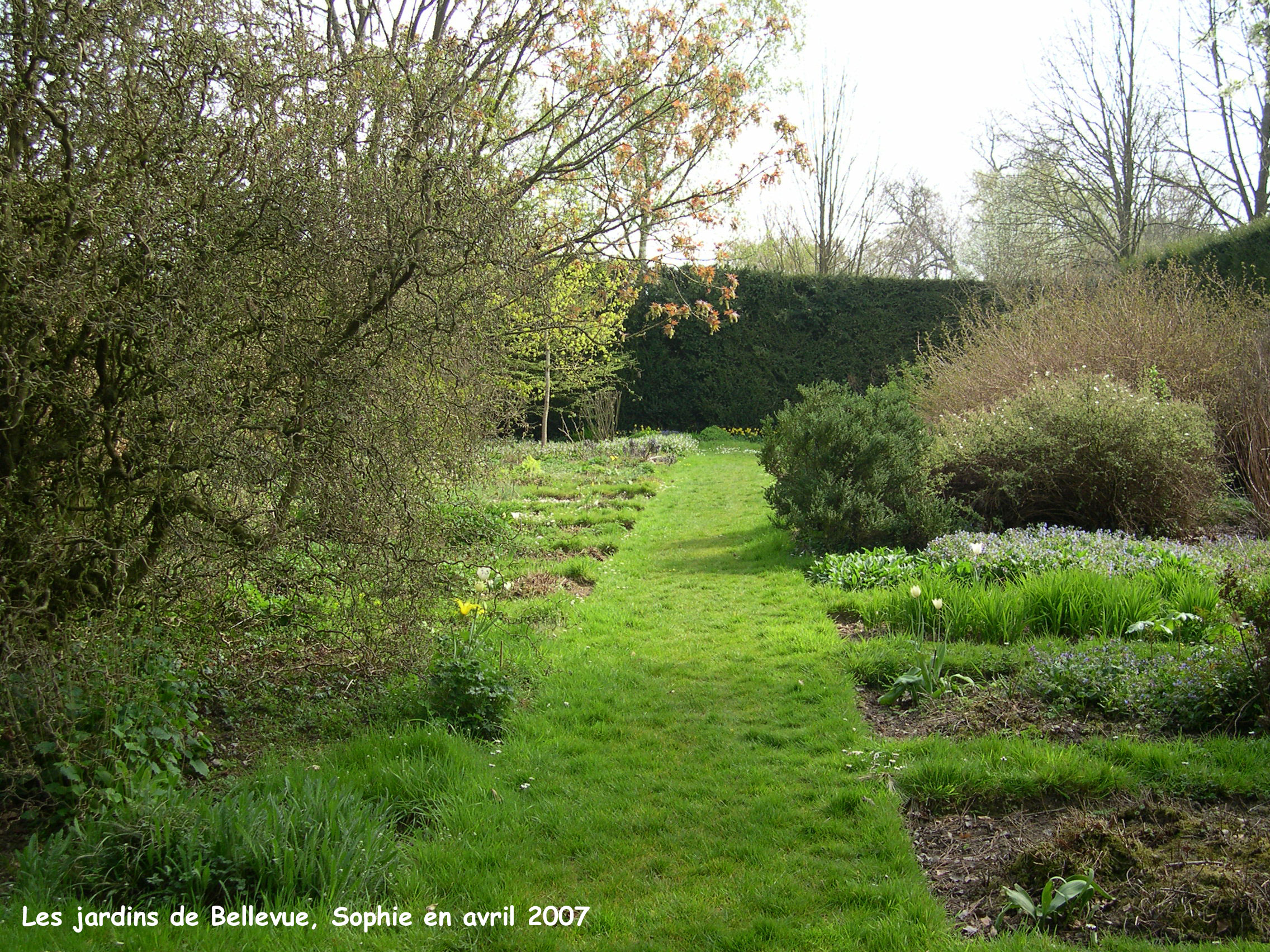 le jardin doré