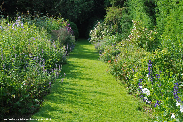 Bellevue: le jardin d'été