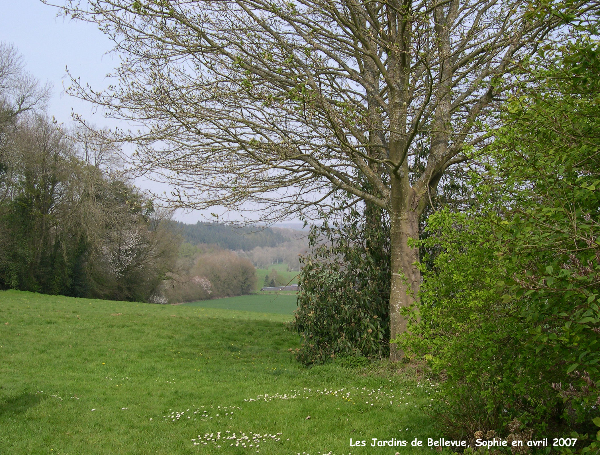 Bellevue: le panorama