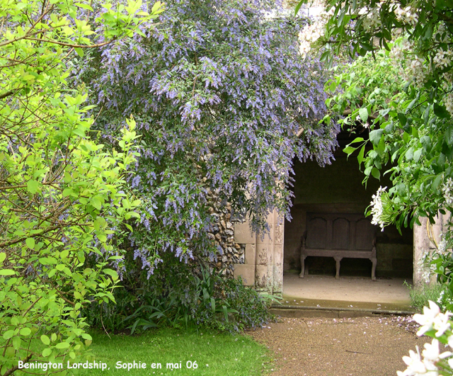 la folie à Bennington Lordship