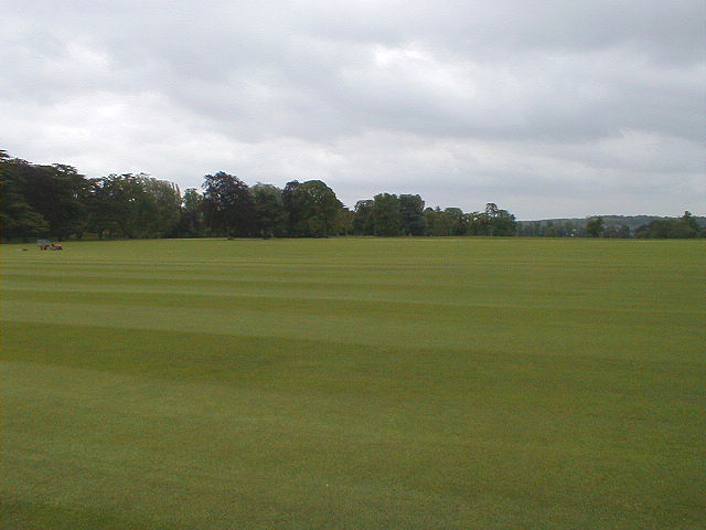 Le terrain de cricket  Blenheim