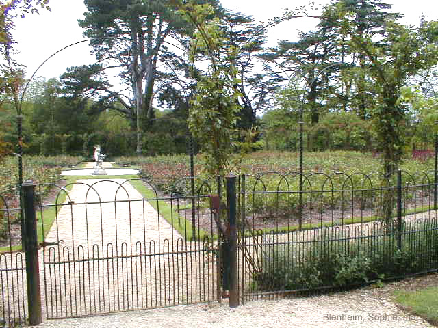Roseraie de Blenheim Park