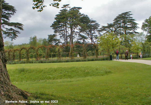 Roseraie de Blenheim Park