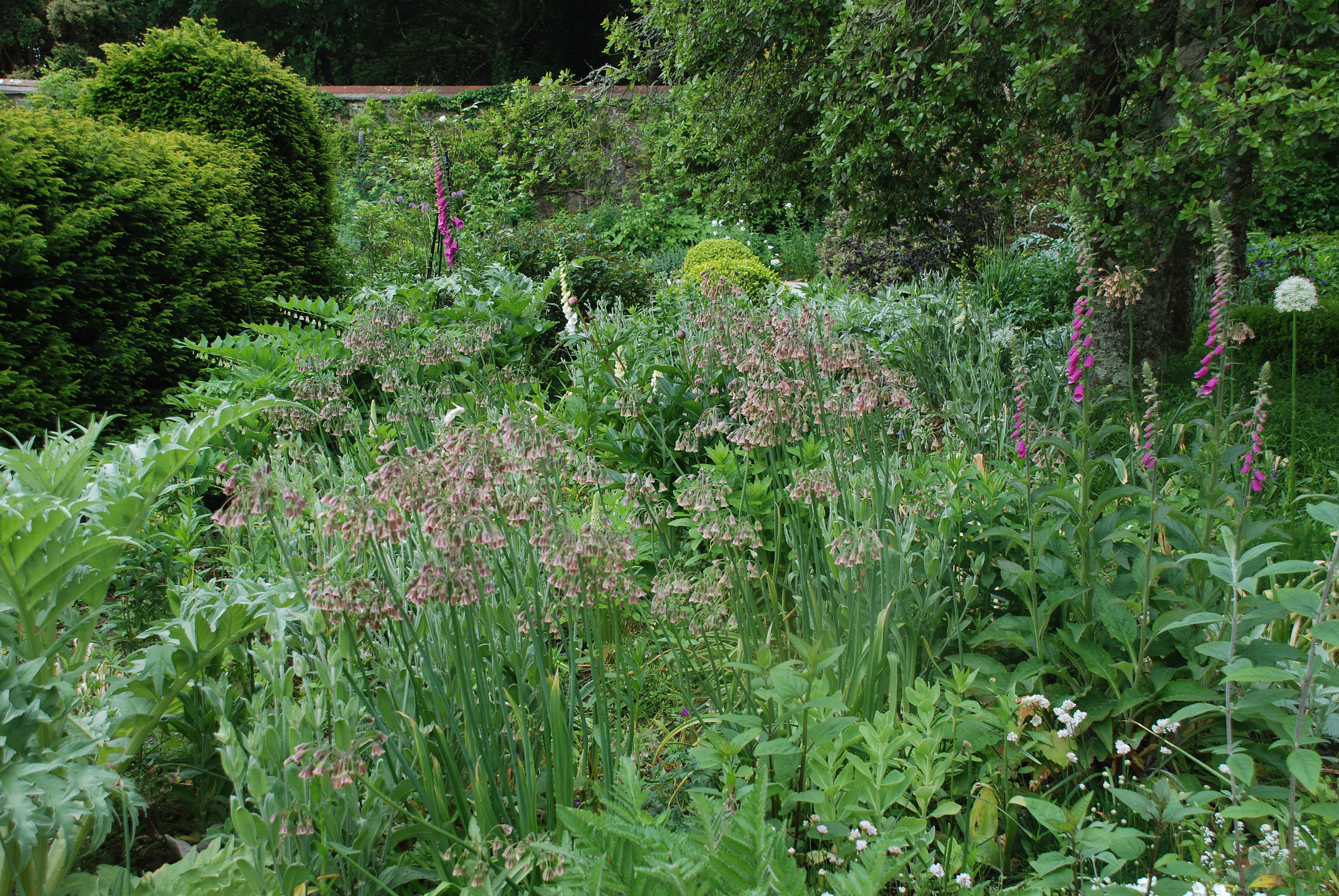 jardin gris à  Bonython