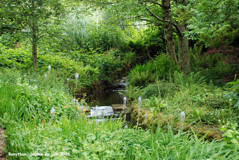 ruisseau à Bonhyton