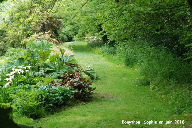 sous-bois à Bonhyton