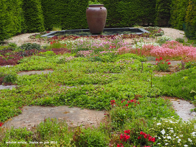 jardin de thyms à Bonython