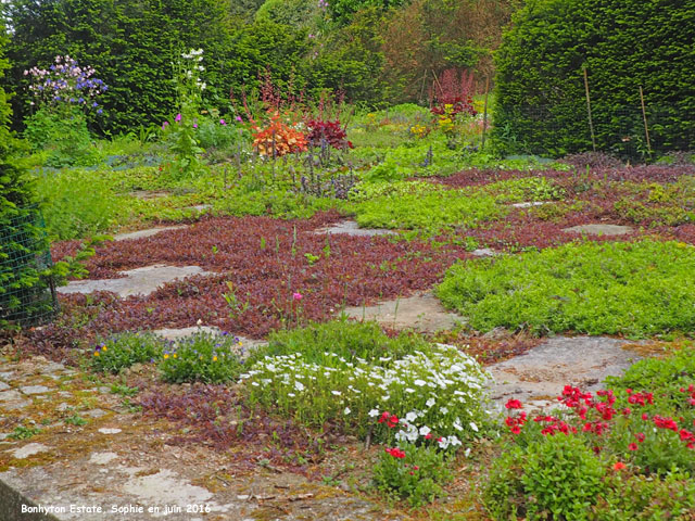 Bonython: le jardin de thyms