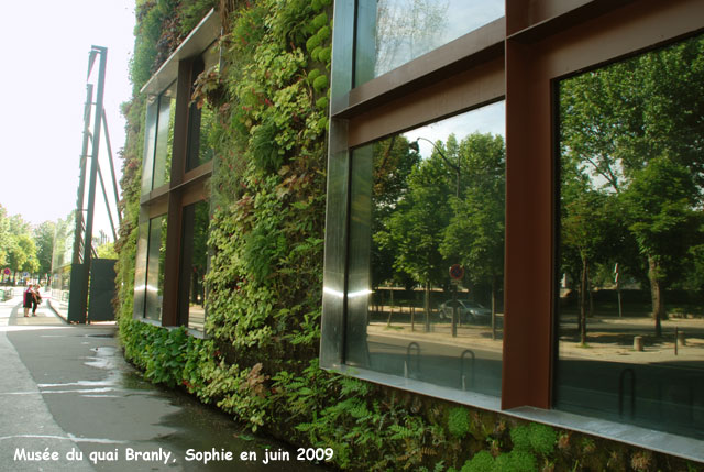 mur de P. Blanc à Branly