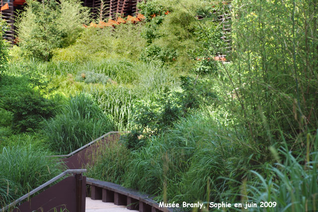 trrasses du jardin du Muse Branly