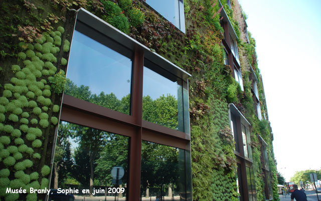 mur végétal au quai Branly