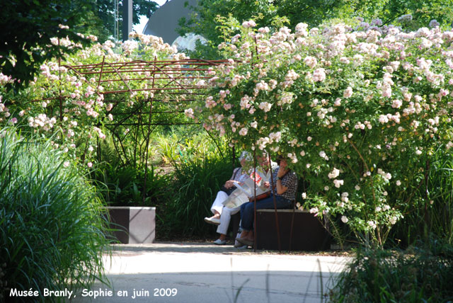 Roses au quai Branly