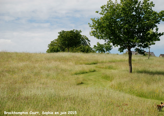 Brockhampton: chemin dans la prairie