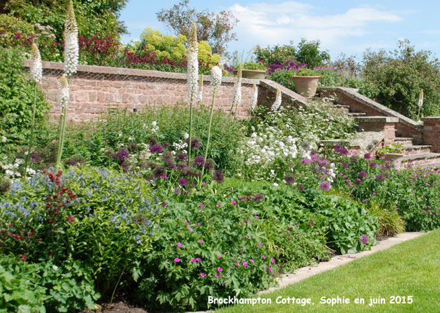 la terrasse Ouest  Brockhampton Cottage