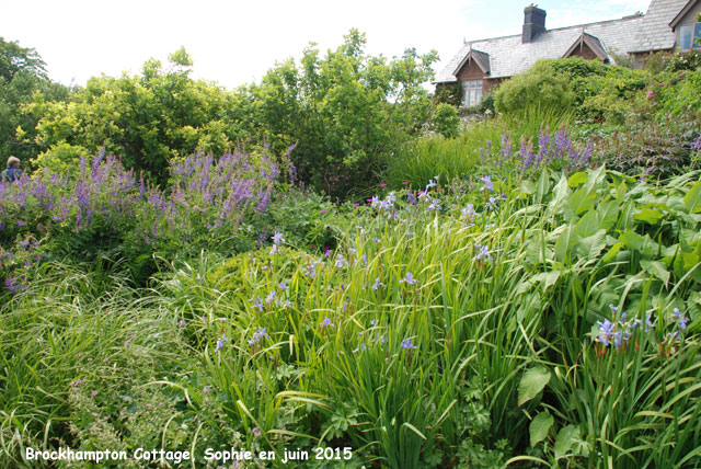 massif bleu et blanc  Brockhampton