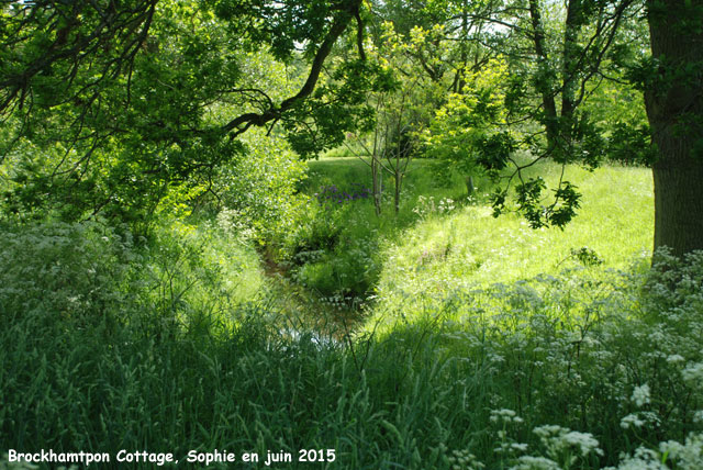 le ruisseau  Brockhampton